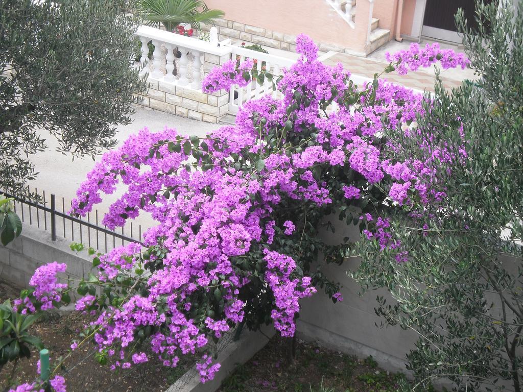 Apartments Golubic Sveti Petar  Εξωτερικό φωτογραφία
